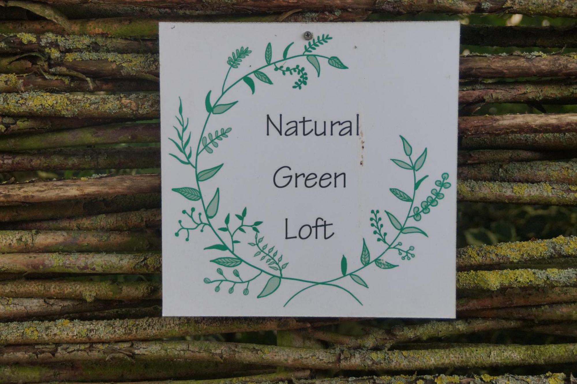 Natural Green Loft Bergen Buitenkant foto